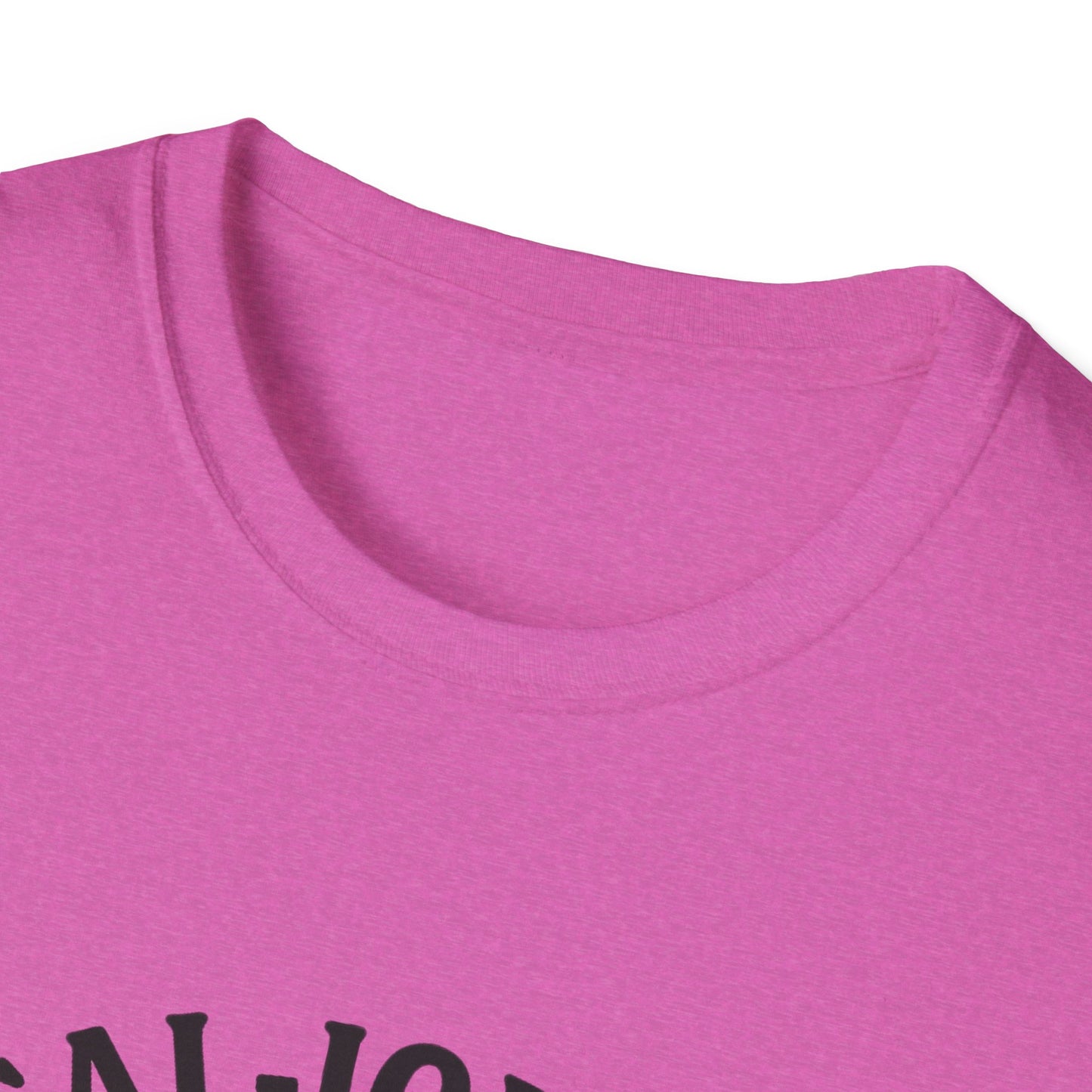 Seal T-Shirt - 'Sealiously Chill' Softstyle Tee