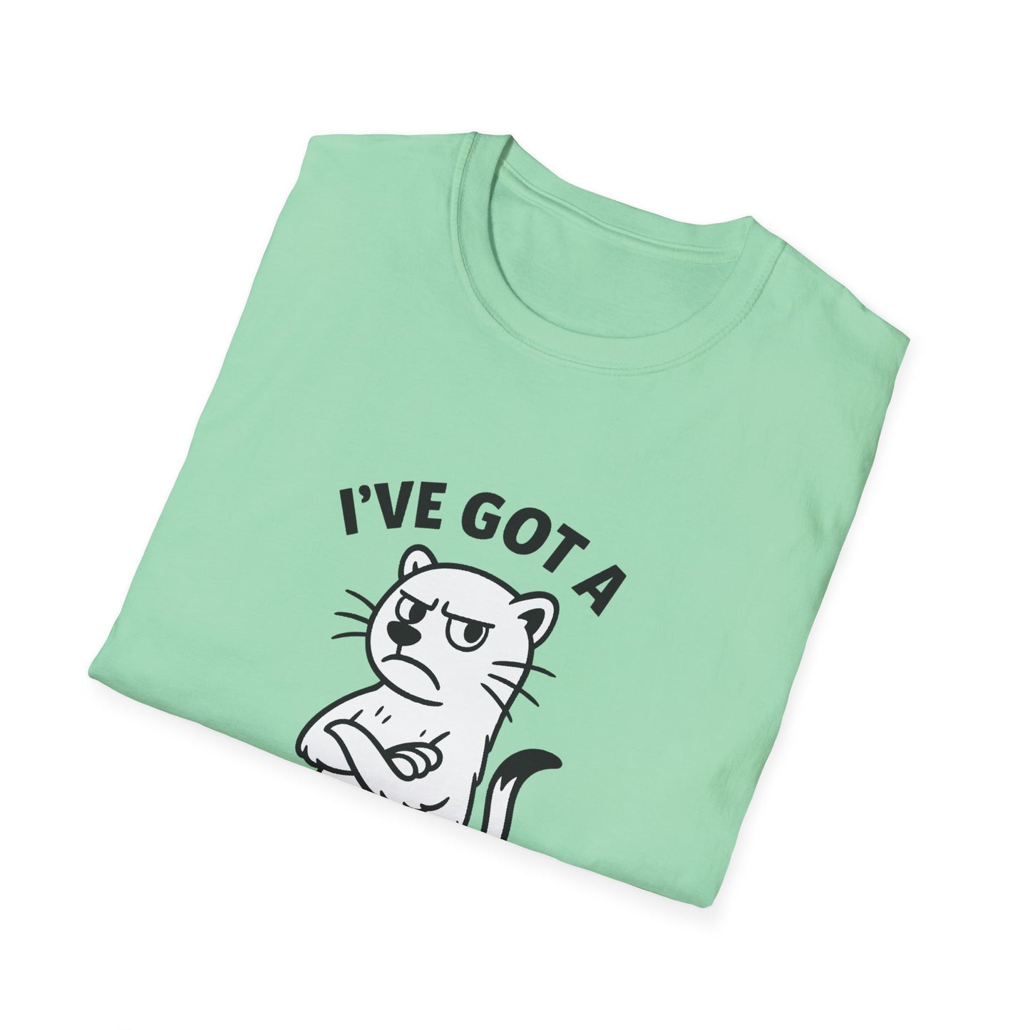 Ferret T-Shirt - 'I've Got a Ferret-Tude' Softstyle Tee