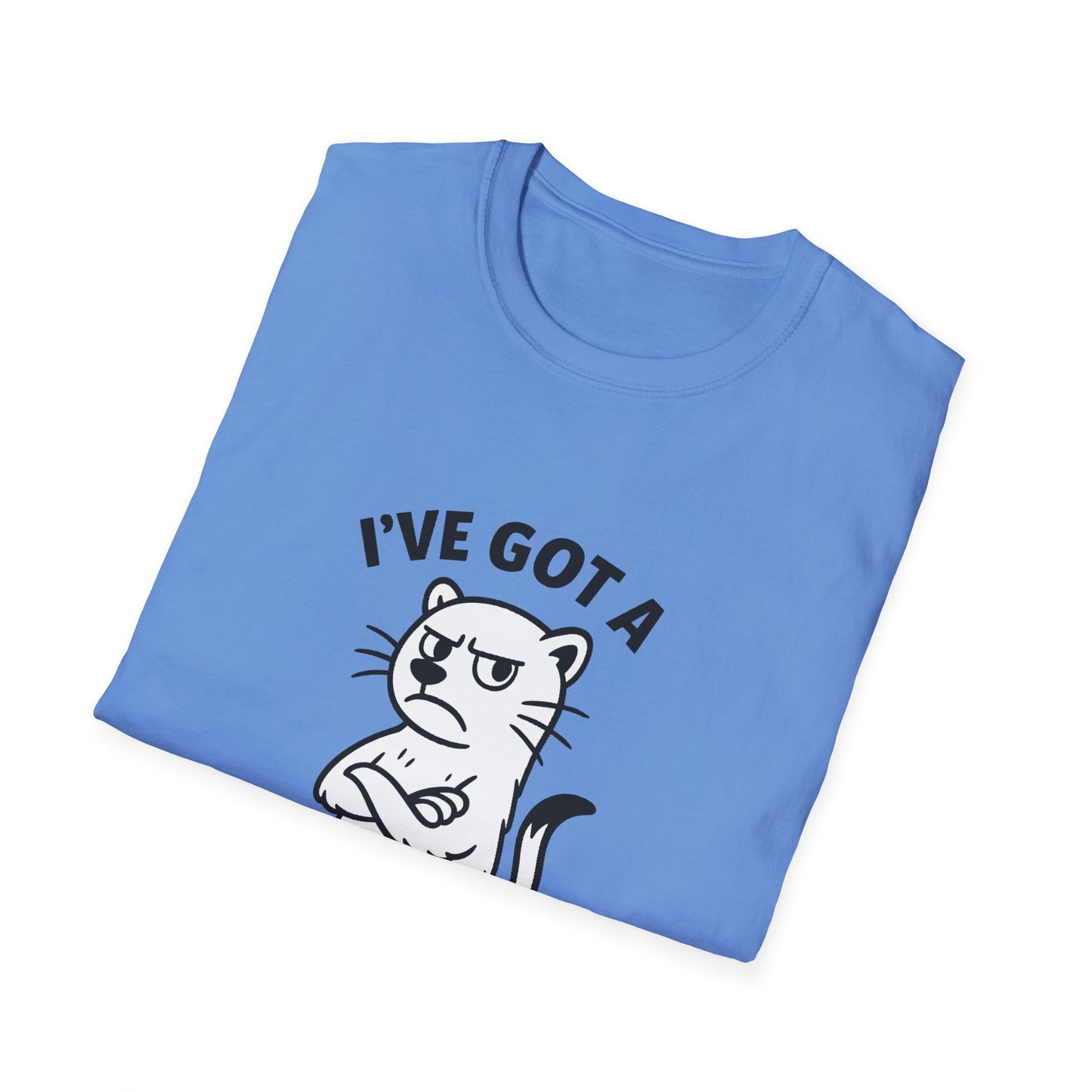 Ferret T-Shirt - 'I've Got a Ferret-Tude' Softstyle Tee