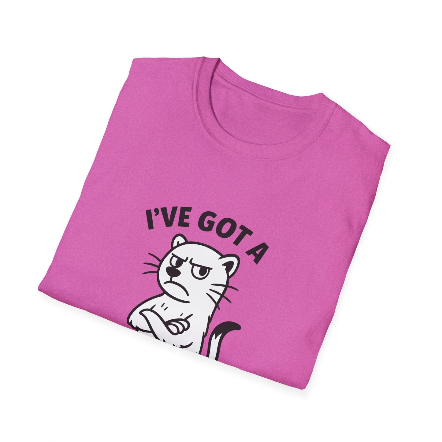 Ferret T-Shirt - 'I've Got a Ferret-Tude' Softstyle Tee