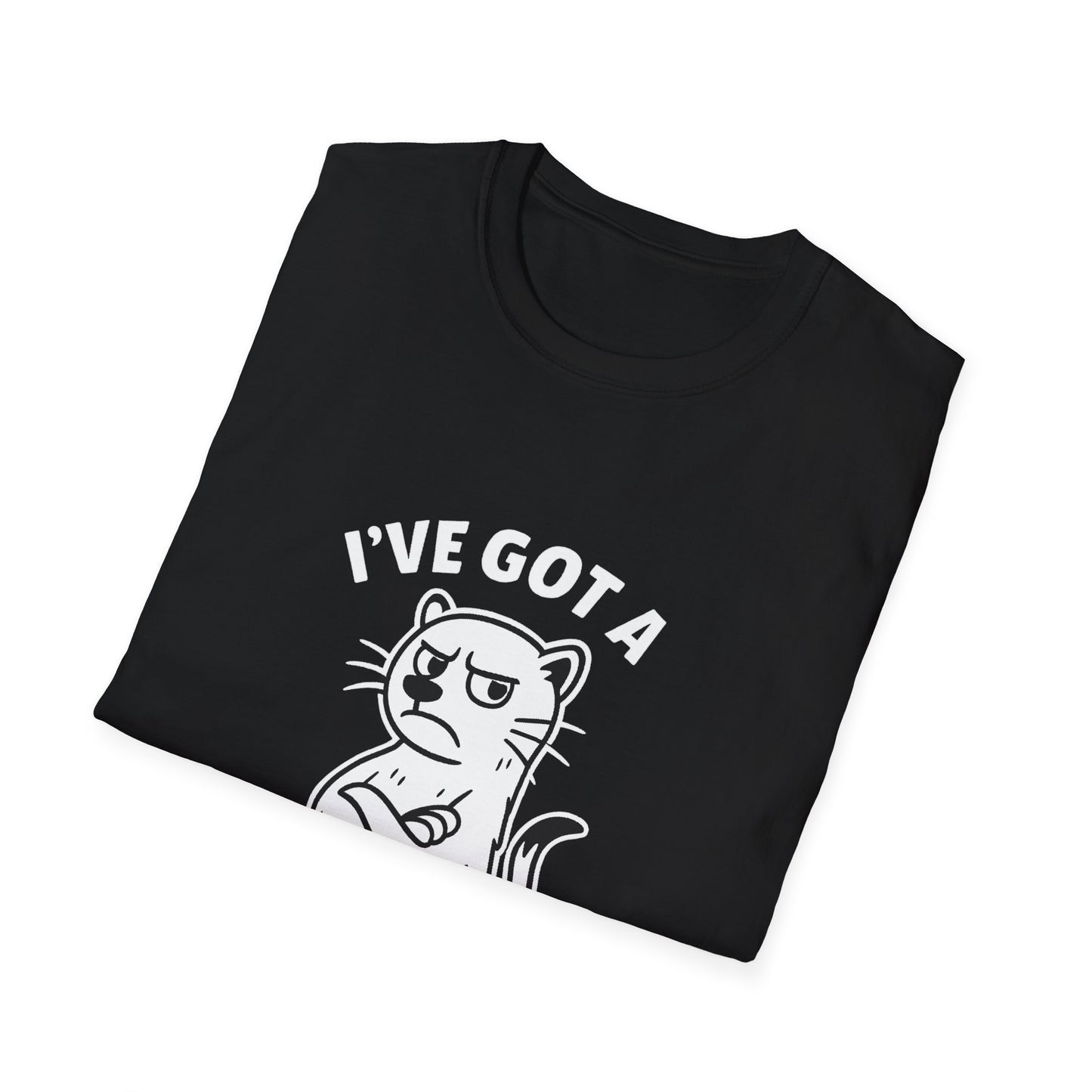 Ferret T-Shirt - 'I've Got a Ferret-Tude' Softstyle Tee