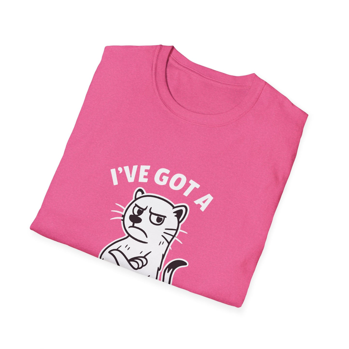 Ferret T-Shirt - 'I've Got a Ferret-Tude' Softstyle Tee