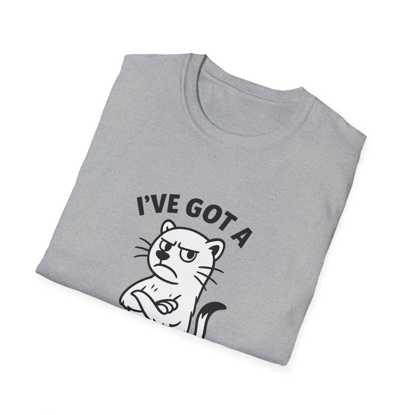 Ferret T-Shirt - 'I've Got a Ferret-Tude' Softstyle Tee