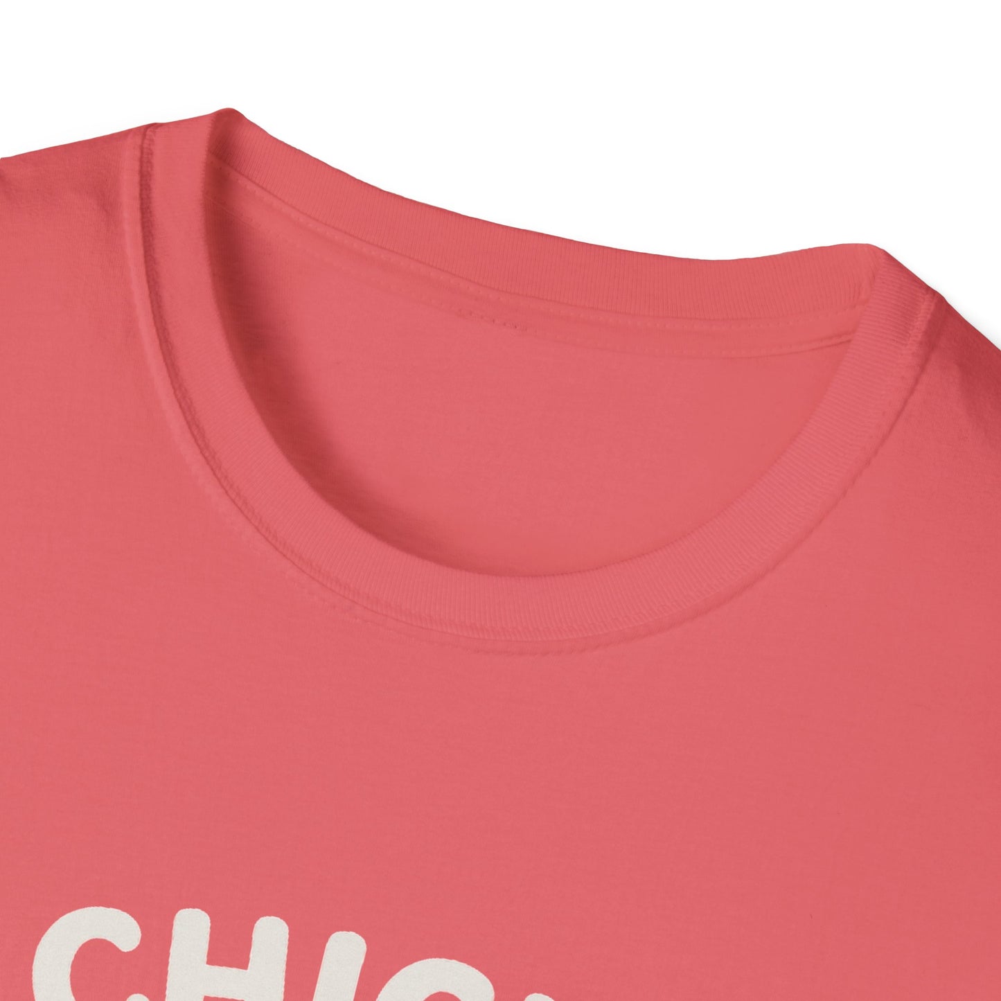 Chick T-Shirt - 'Chick Magnet' Softstyle Tee