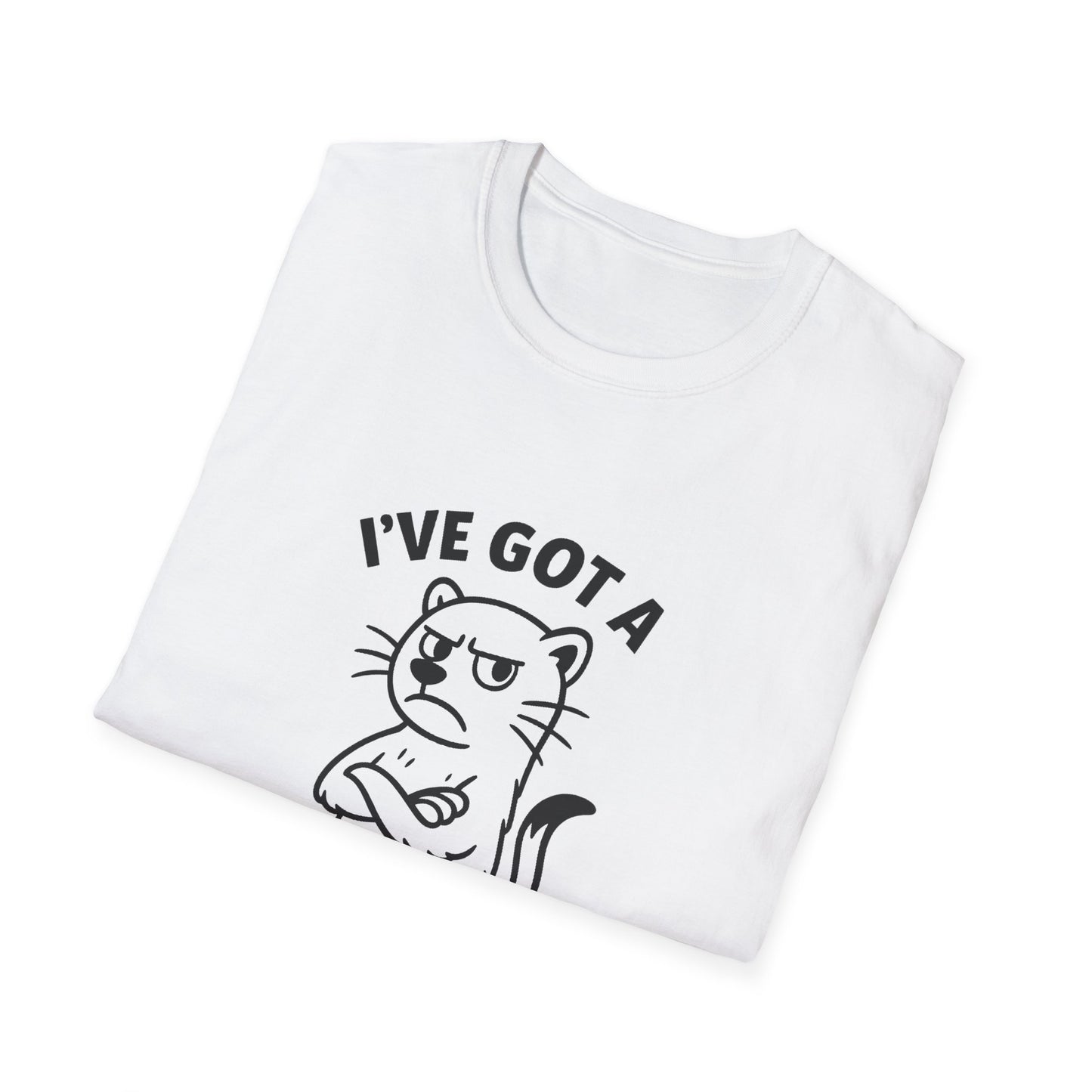 Ferret T-Shirt - 'I've Got a Ferret-Tude' Softstyle Tee