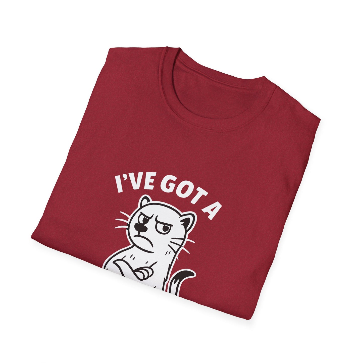 Ferret T-Shirt - 'I've Got a Ferret-Tude' Softstyle Tee