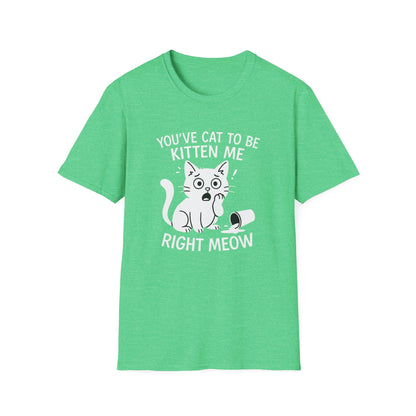 Cat T-Shirt - 'You've Cat To Be Kitten Me Right Meow' Softstyle Tee