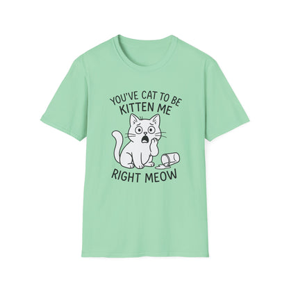 Cat T-Shirt - 'You've Cat To Be Kitten Me Right Meow' Softstyle Tee