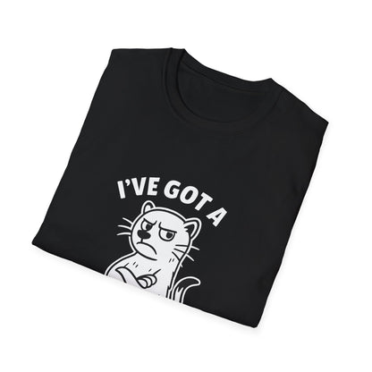 Ferret T-Shirt - 'I've Got a Ferret-Tude' Softstyle Tee