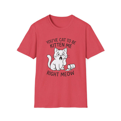 Cat T-Shirt - 'You've Cat To Be Kitten Me Right Meow' Softstyle Tee