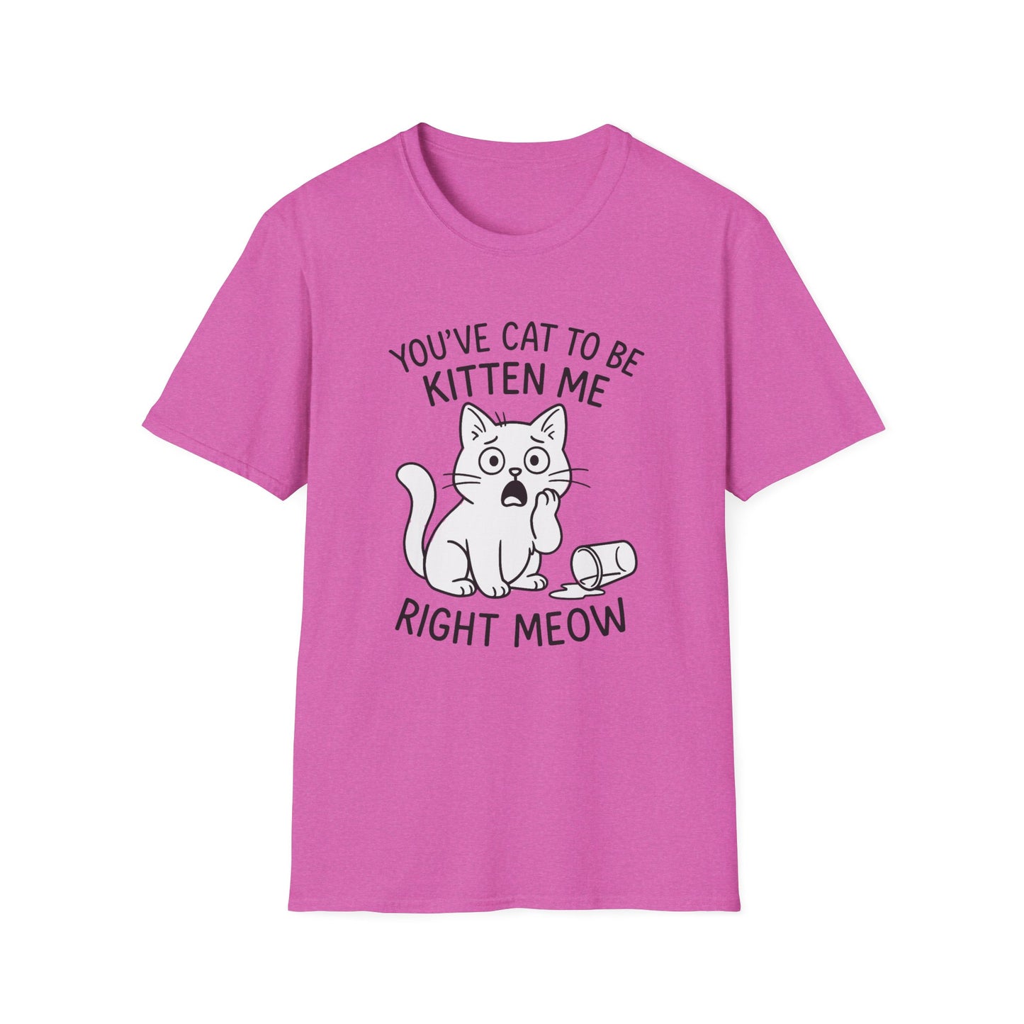 Cat T-Shirt - 'You've Cat To Be Kitten Me Right Meow' Softstyle Tee