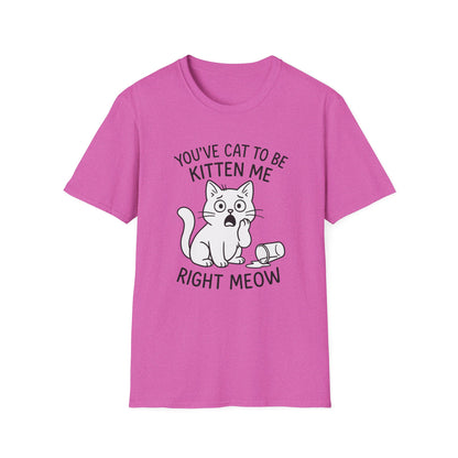 Cat T-Shirt - 'You've Cat To Be Kitten Me Right Meow' Softstyle Tee