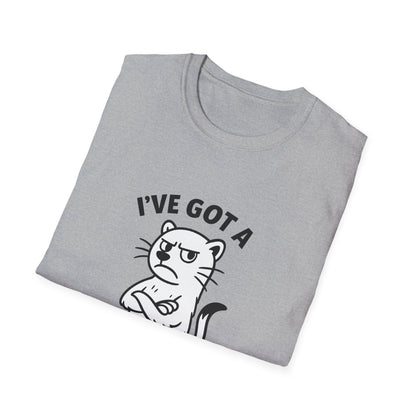 Ferret T-Shirt - 'I've Got a Ferret-Tude' Softstyle Tee