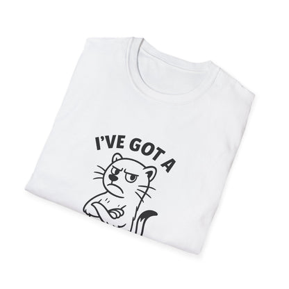 Ferret T-Shirt - 'I've Got a Ferret-Tude' Softstyle Tee