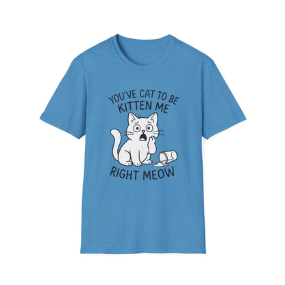 Cat T-Shirt - 'You've Cat To Be Kitten Me Right Meow' Softstyle Tee