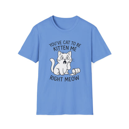 Cat T-Shirt - 'You've Cat To Be Kitten Me Right Meow' Softstyle Tee