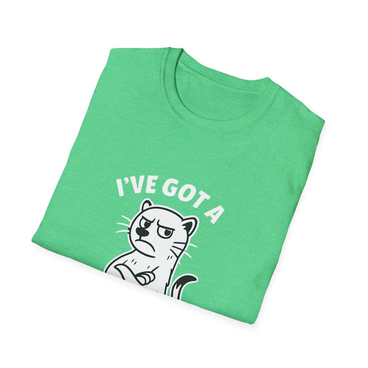Ferret T-Shirt - 'I've Got a Ferret-Tude' Softstyle Tee